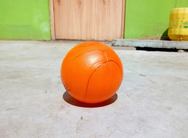 术等级的提 术等级的提