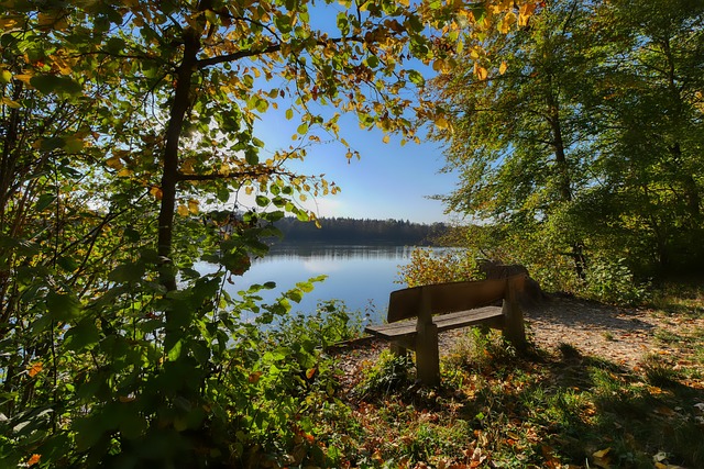 系數與運球 系數與運球