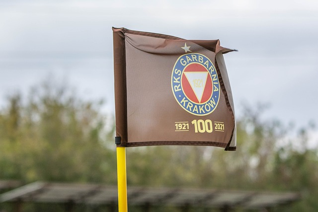 不仅是法律 不仅是法律