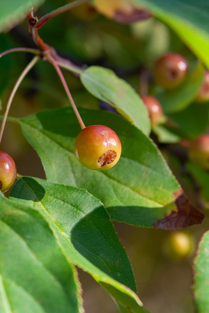 让我们不仅 让我们不仅
