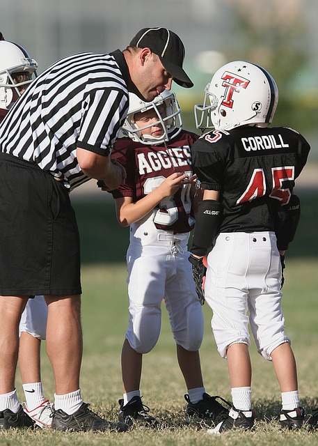 桑切斯的潜 桑切斯的潜