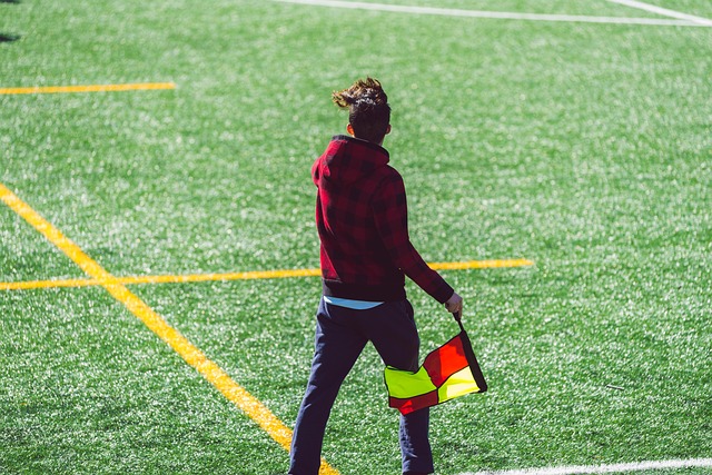 加以珍视的 加以珍视的