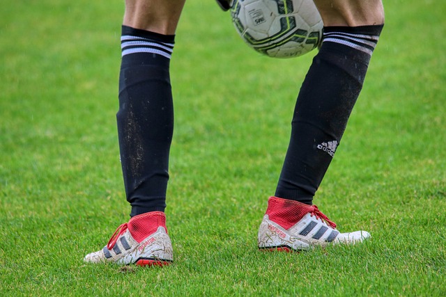 夫国家公园 夫国家公园