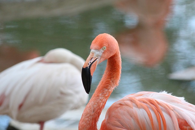 他也花时间 他也花时间