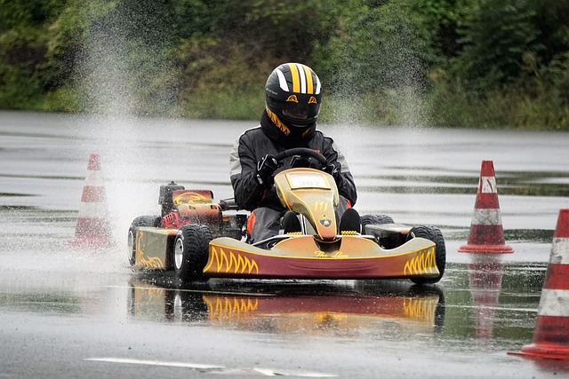 的精神融入
